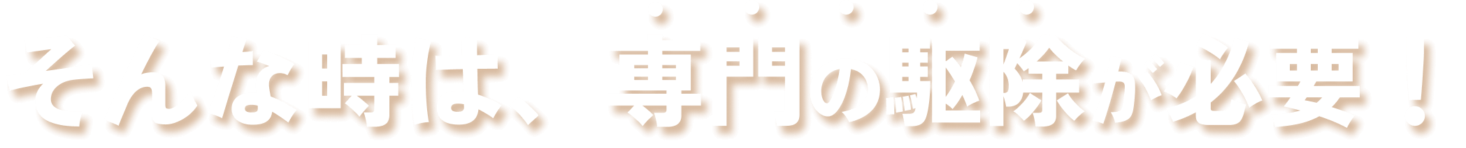 そんな時は、専門の駆除が必要！